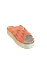 Photoroom_20250218_134008.webp