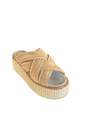 Photoroom_20250218_135219.webp