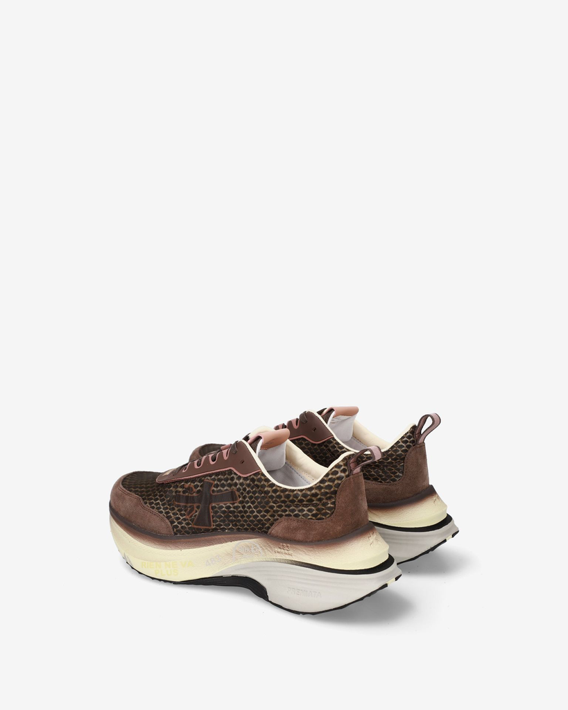 IMG_3777.webp