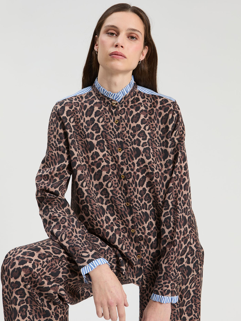 Vilagallo alias Diana leopardo