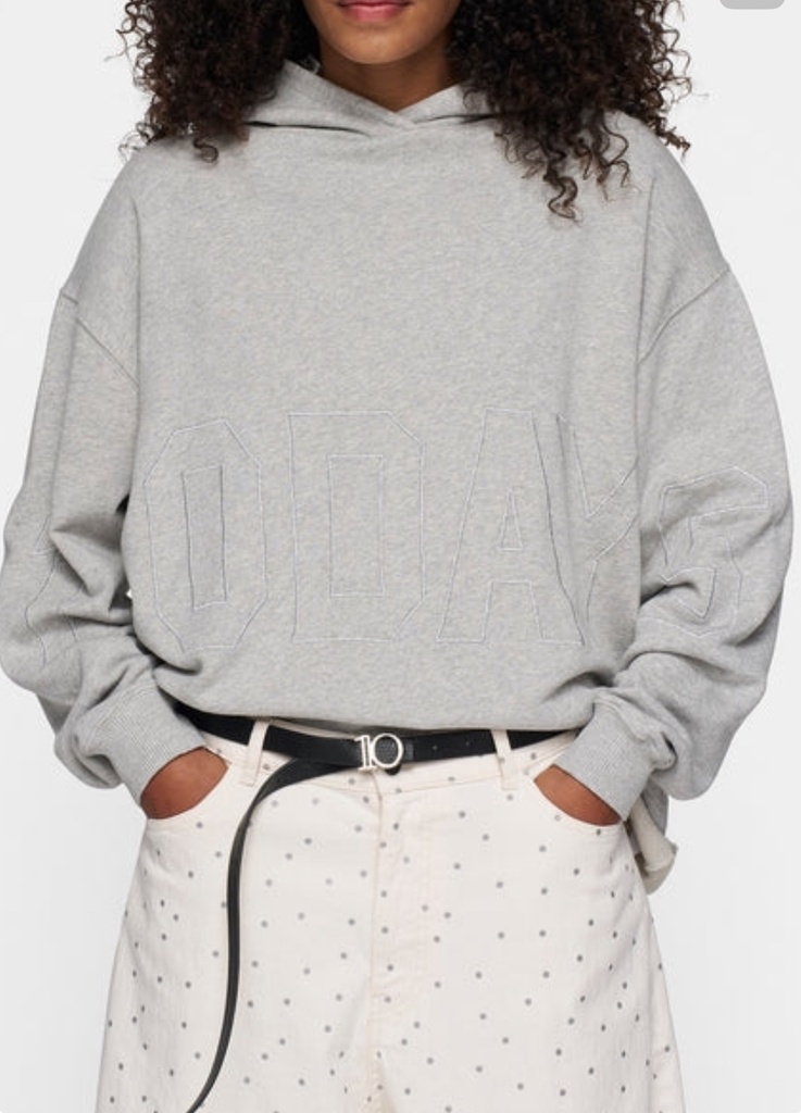10 days Hoodie light grey