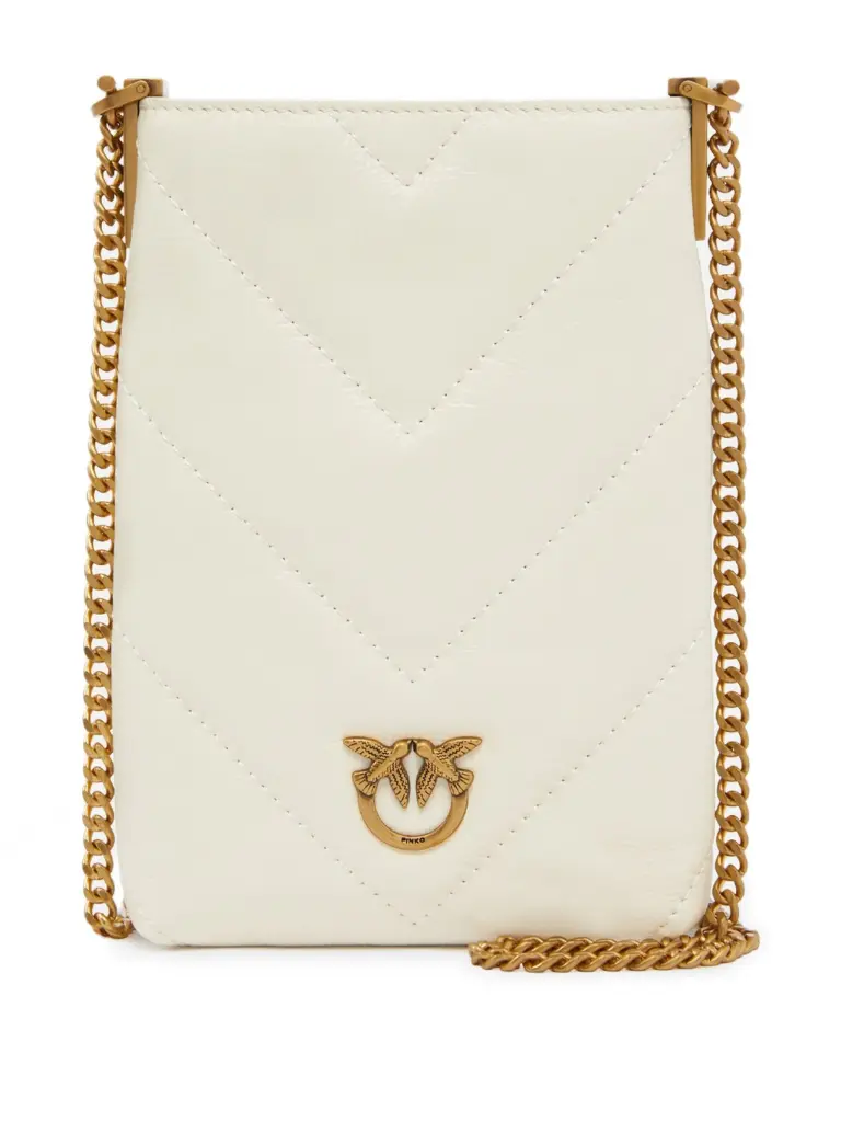 Pinko phone case chevron