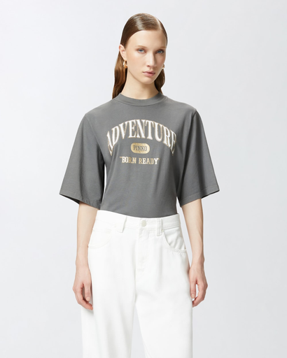 [104604-A2CS/163] Pinko Niamey t-shirt grey
